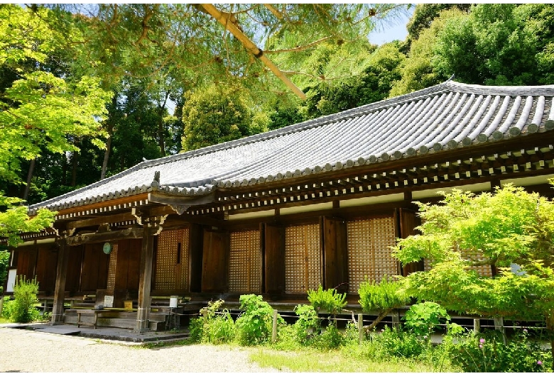 浄瑠璃寺