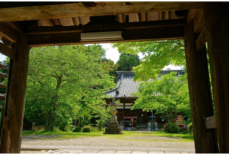 海住山寺