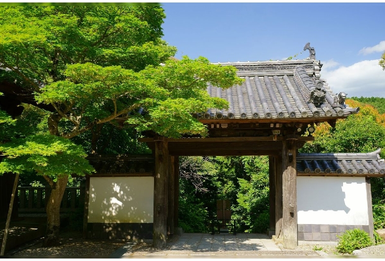 海住山寺