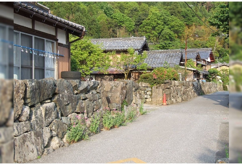 菅浦の湖岸集落景観