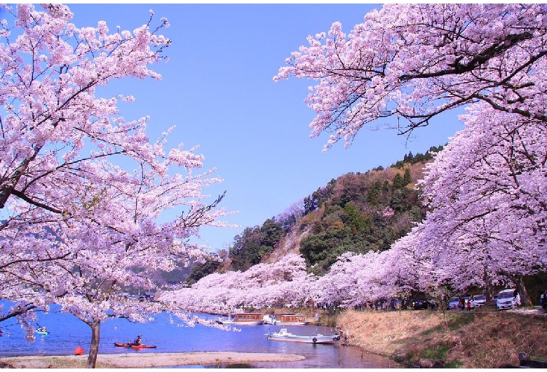 高島市海津・知内地区