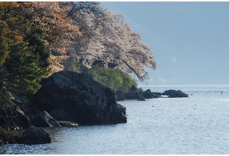 高島市海津・知内地区