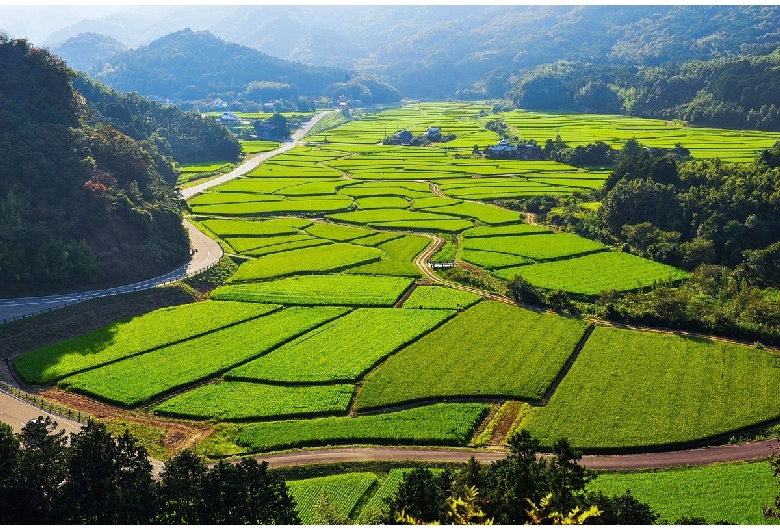 田染荘小崎の農村景観