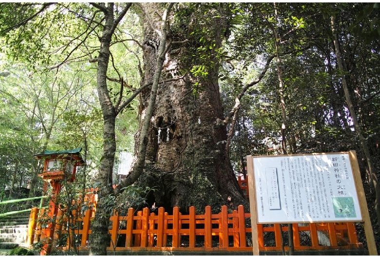 新田神社