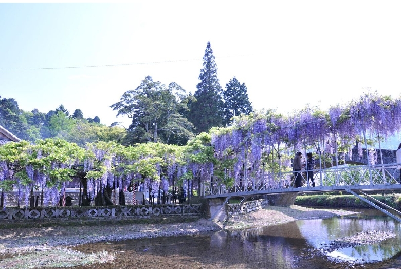 西寒多神社