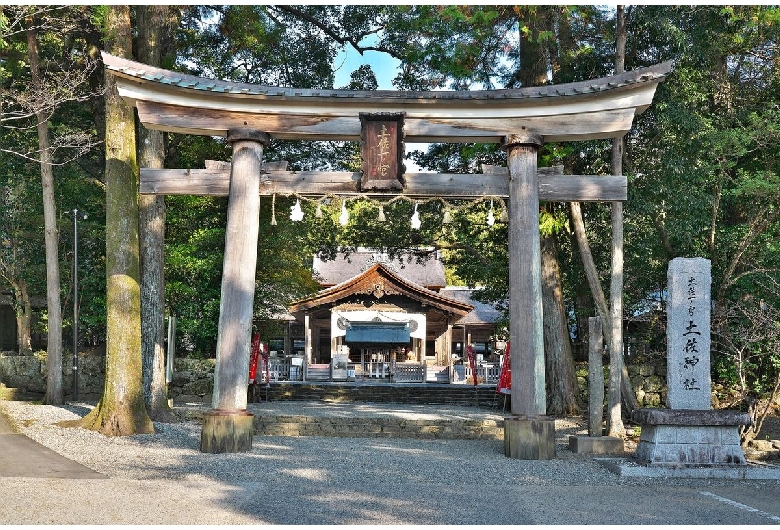 土佐神社