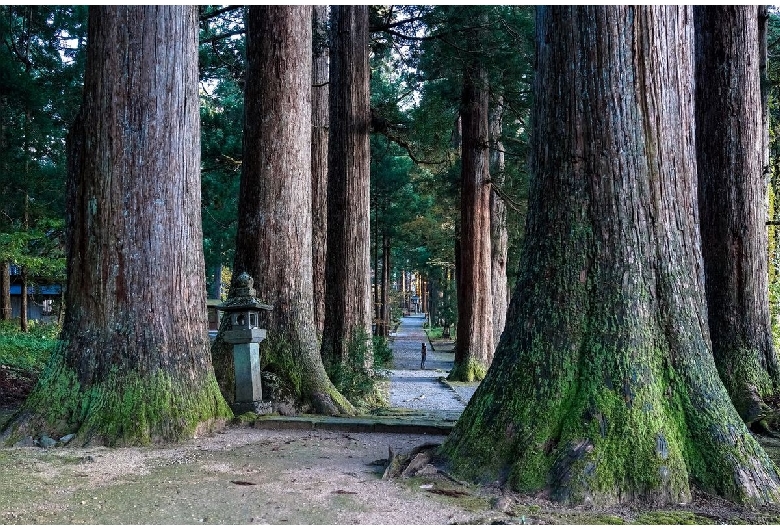 雄山神社（芦峅中宮祈願殿）