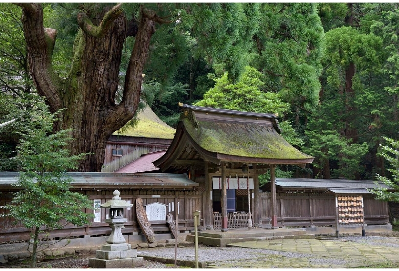 若狭姫神社