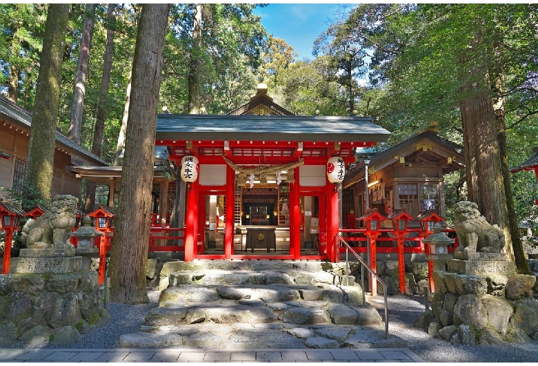 椿大神社