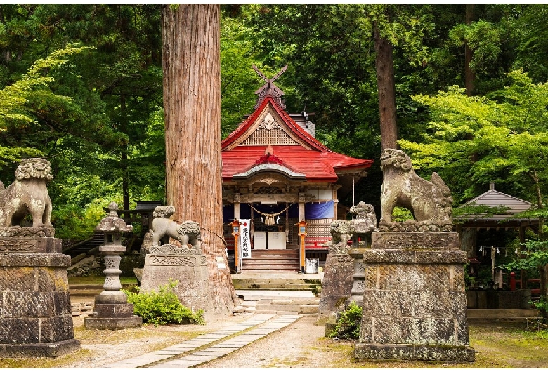 中野もみじ山（中野神社）