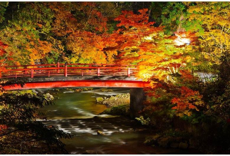 中野もみじ山（中野神社）