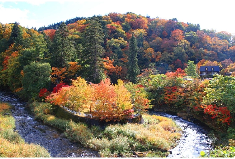 中野もみじ山（中野神社）