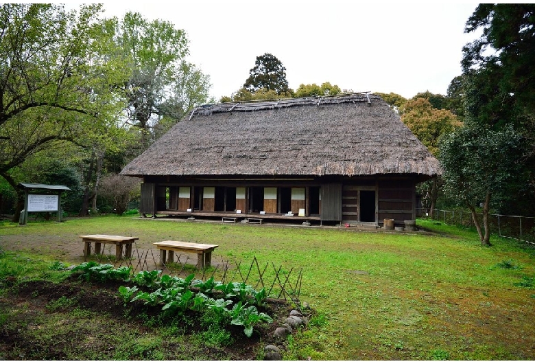 椎葉村十根川（伝統的建造物群保存地区）