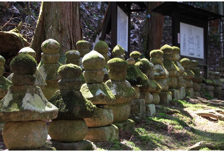 上田・別所・鹿教湯