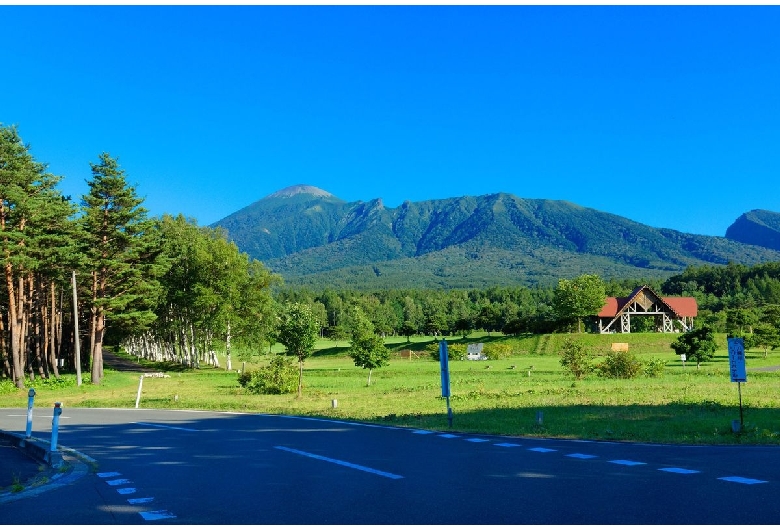 岩手県民の森