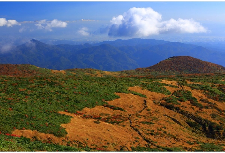 栗駒山（いわかがみ平）