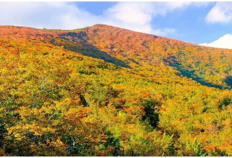 栗駒山（いわかがみ平）