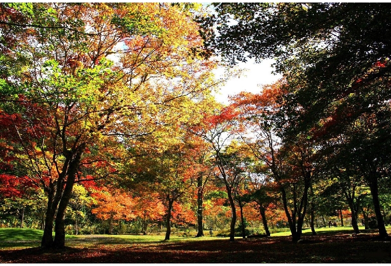 福原山荘