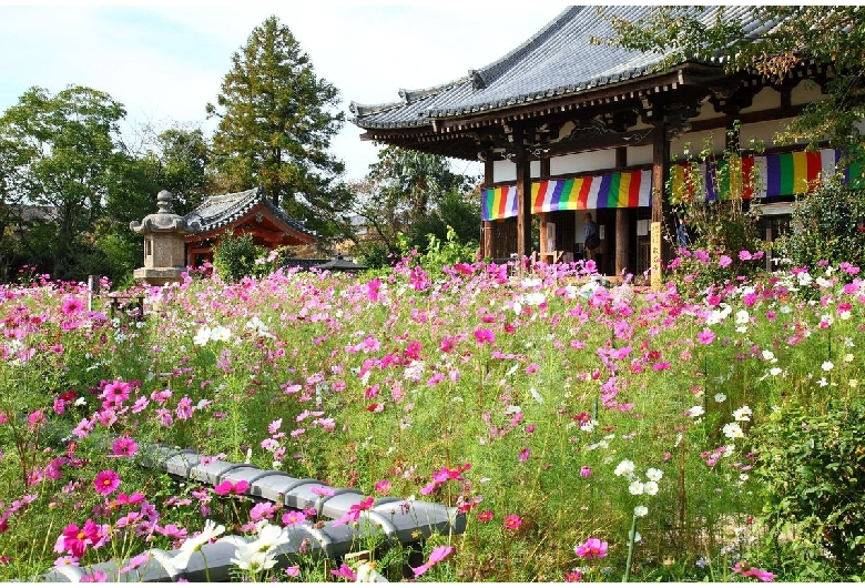 般若寺