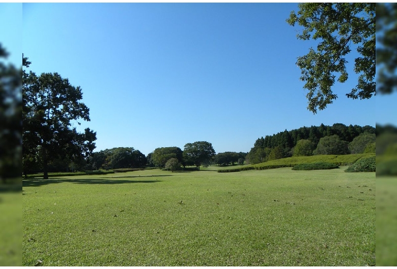 昭和の森公園