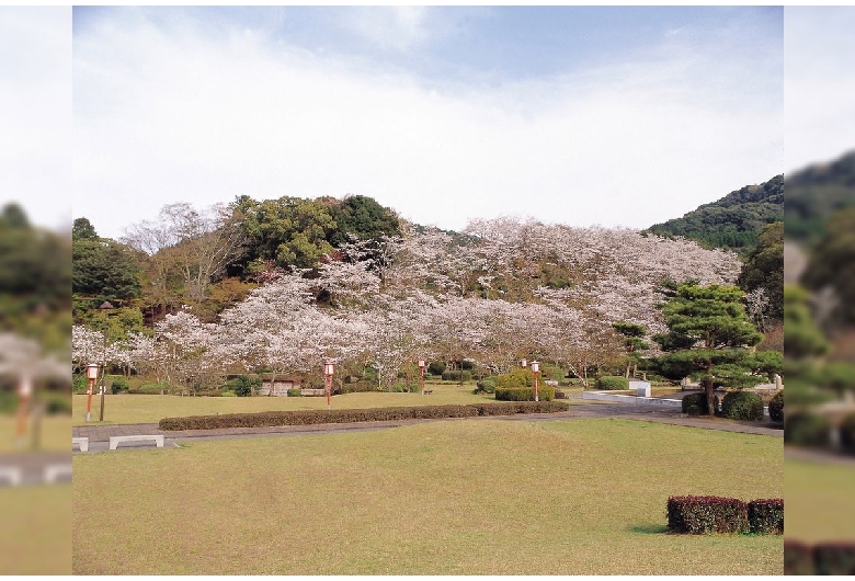 西渓公園