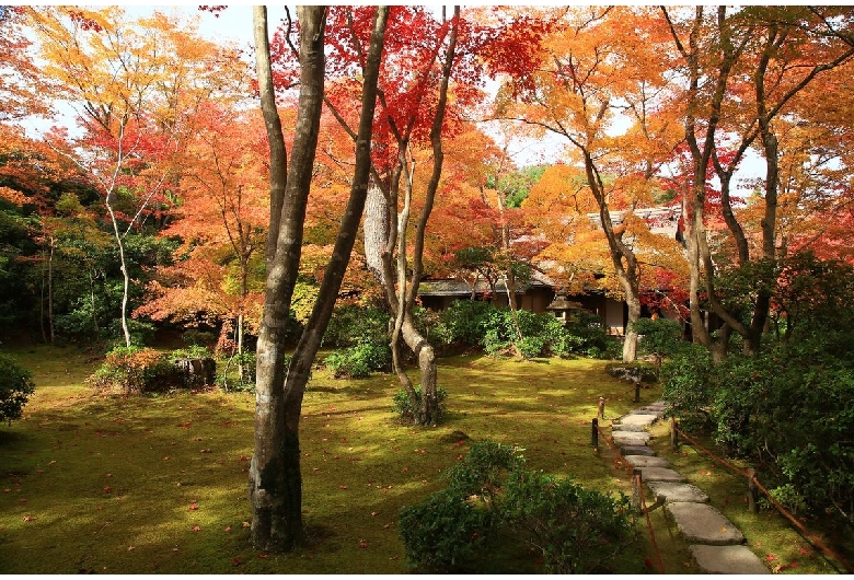 大河内山荘庭園