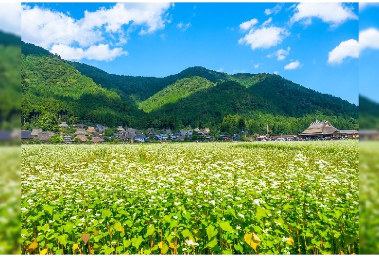 美山町（伝統的建造物群保存地区）