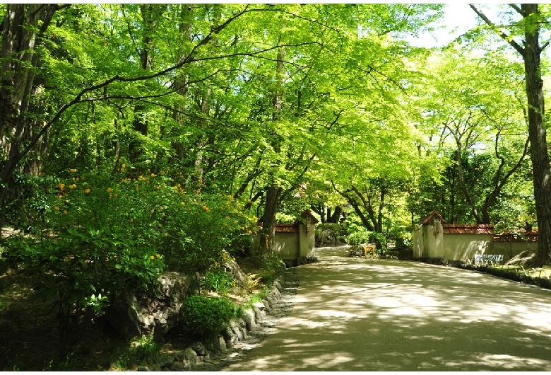 大山崎山荘美術館