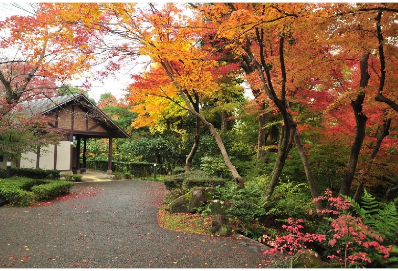 大山崎山荘美術館