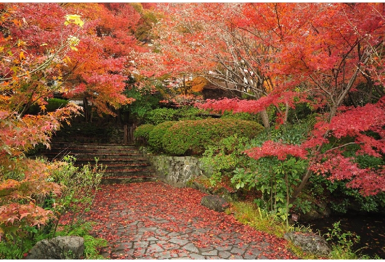 大山崎山荘美術館