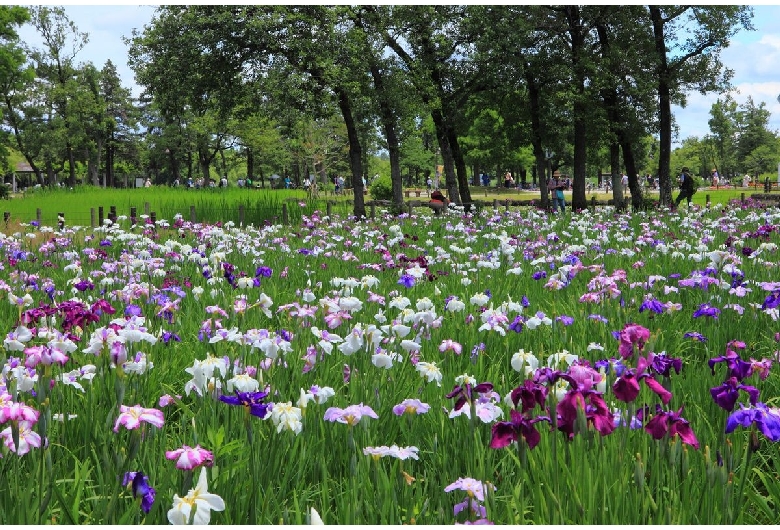 水元公園