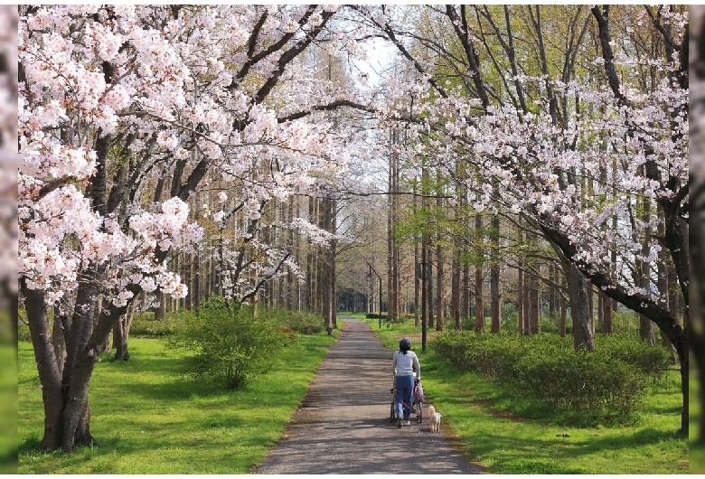 水元公園