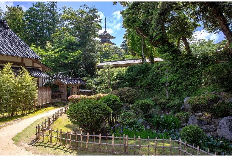 妙宣寺（佐渡島）