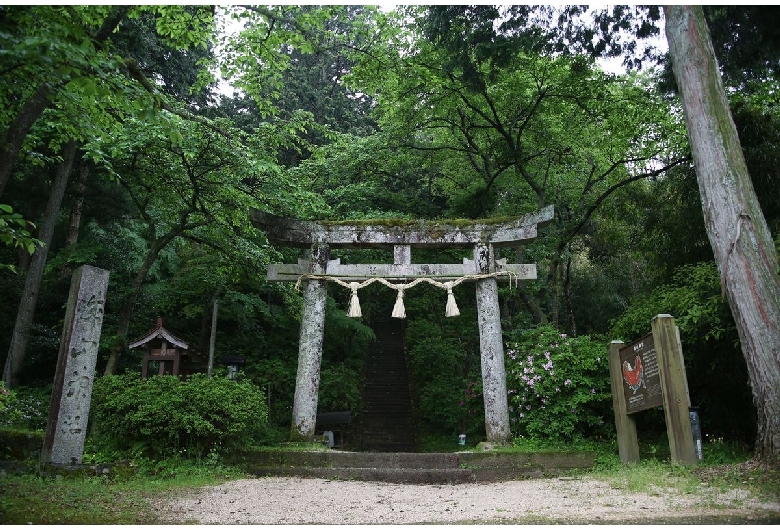 鹿野城跡公園