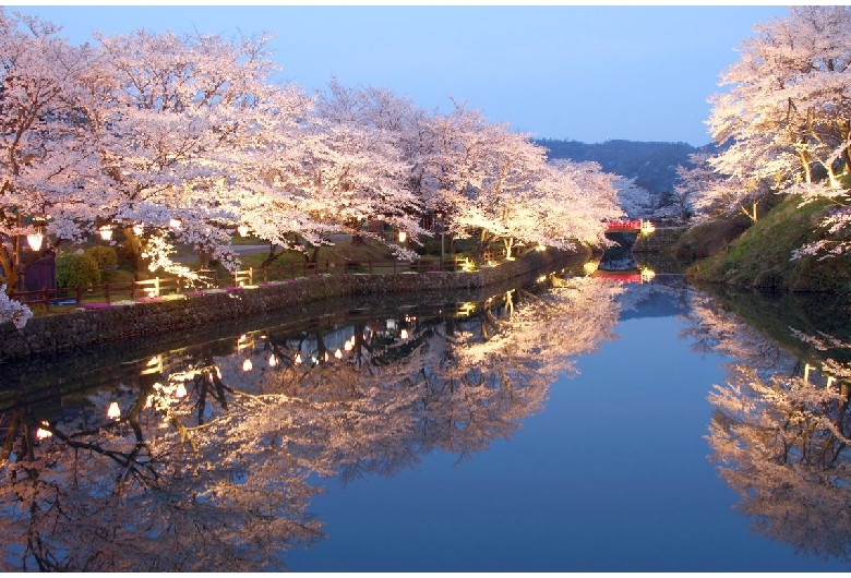 鹿野城跡公園