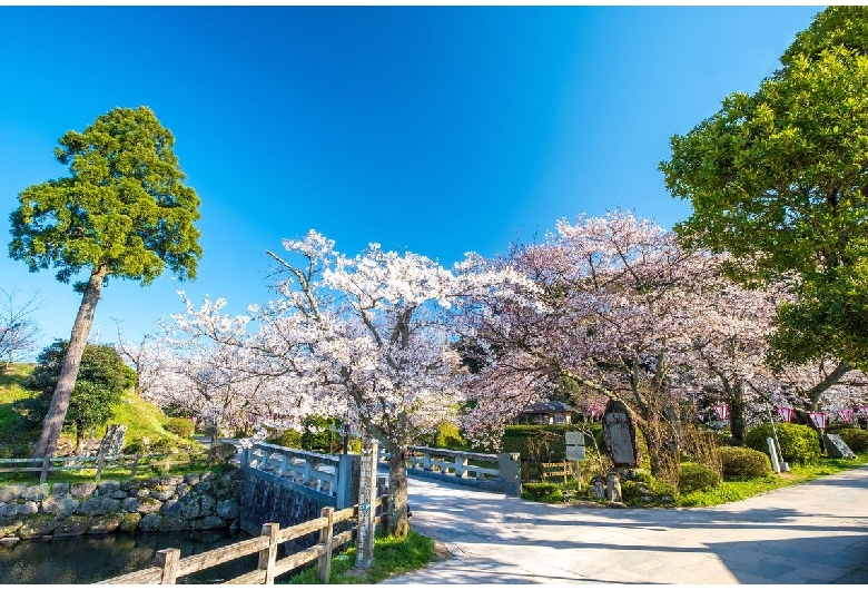 鹿野城跡公園