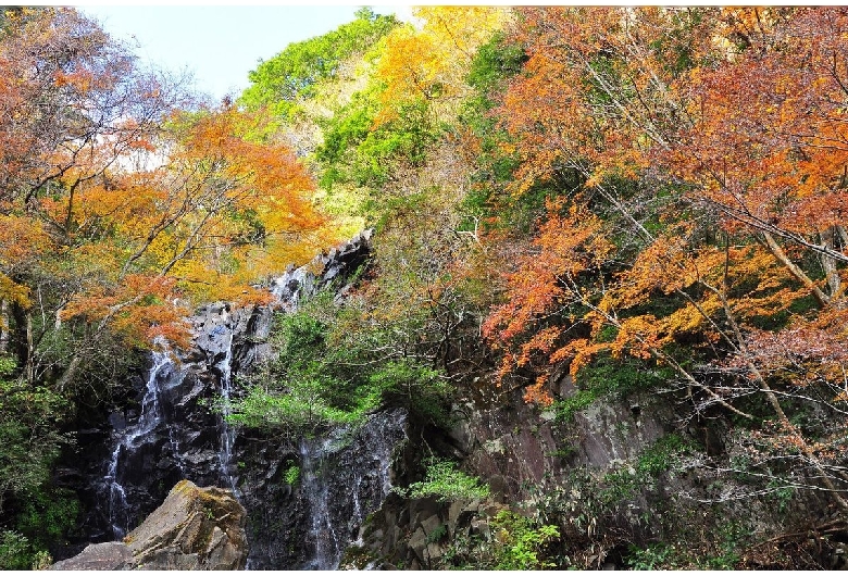 飛龍の滝