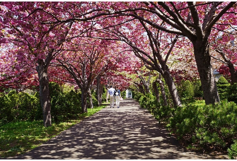 平岡樹芸センター