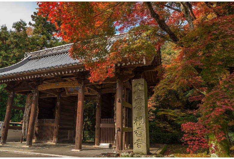 根香寺