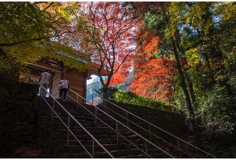 根香寺