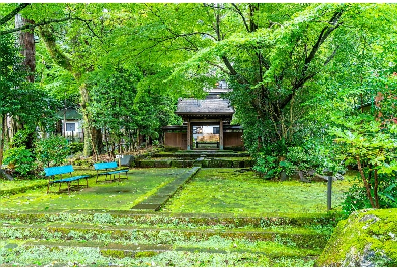 早雲寺