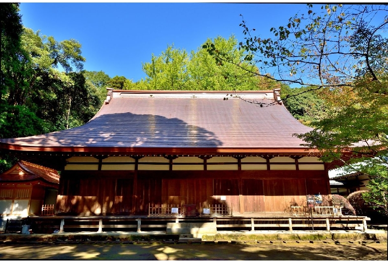 早雲寺