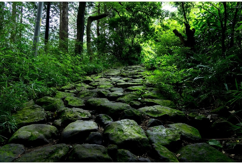 箱根旧東海道石畳