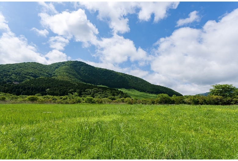 仙石原（箱根）