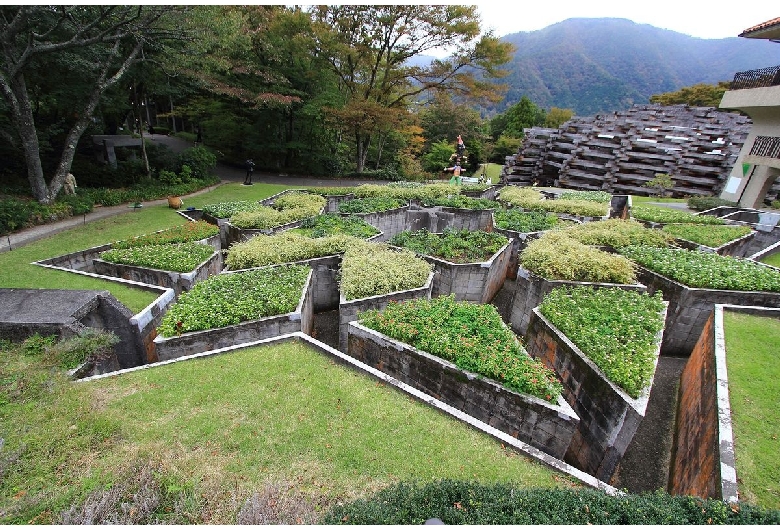 彫刻の森美術館（箱根）