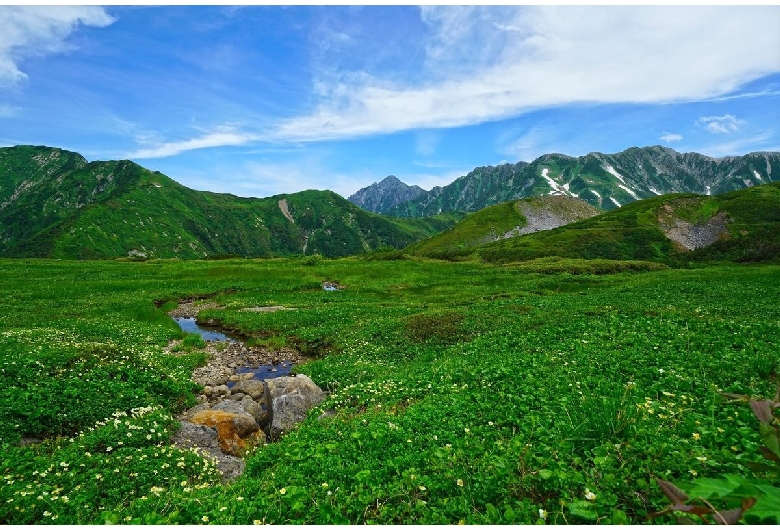 天狗平（立山黒部）