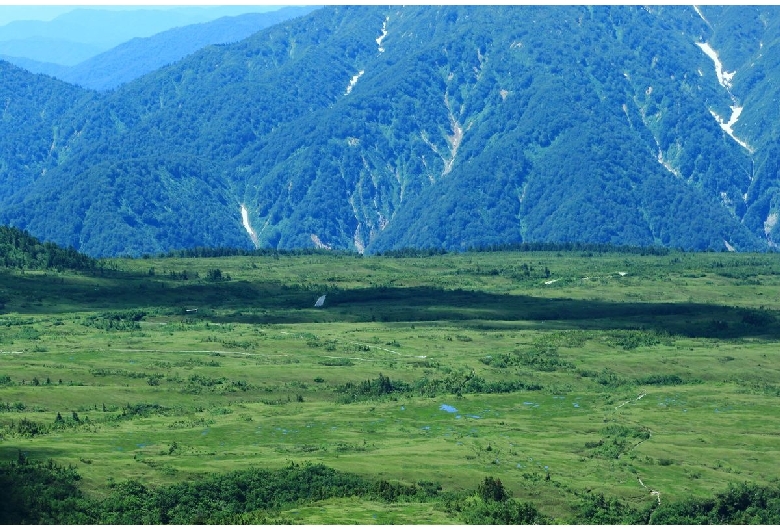 弥陀ヶ原（立山黒部）