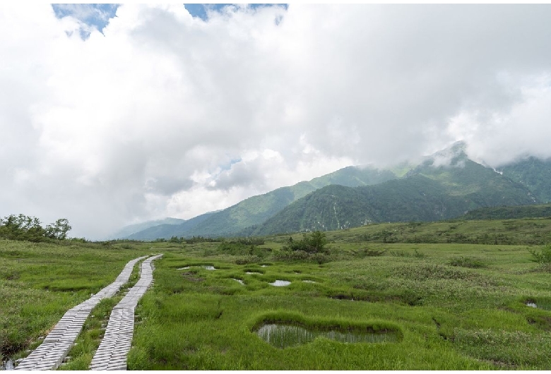 弥陀ヶ原（立山黒部）