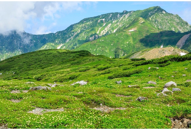 室堂平遊歩道（立山黒部）