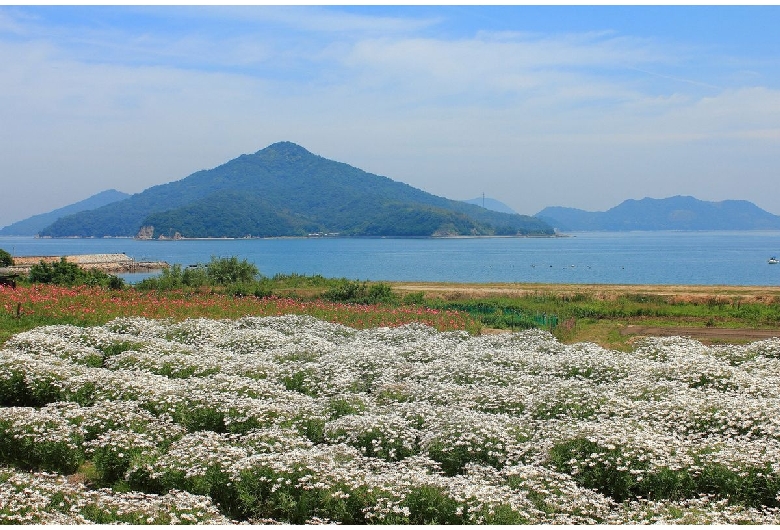 フラワーパーク浦島